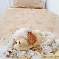 روتختی|سرویس روتختی|تربتحیدریه, مظفریه|دیوار