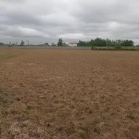 فروش زمین باغی مخصوص گلخونه وکاشت صنوبرجاده کیاشهر|فروش زمین و ملک کلنگی|کیاشهر, |دیوار