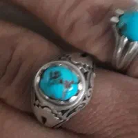 فیروزه نیشابوری نام مبارک علی