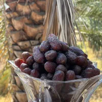 فروش خرمای پیارم