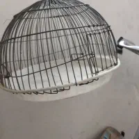 قفس پرنده وطرقه