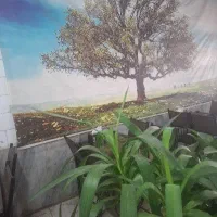 یک نفر کمک آشپز خبره