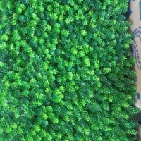 قفسه های فروشگاهی ، ۳ دست میز نهار خوری ۶نفره|فروشگاه و مغازه|سنندج, |دیوار