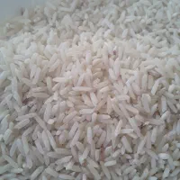 برنج طارم درجه یک برداشت امسال|خوردنی و آشامیدنی|ایلام, |دیوار