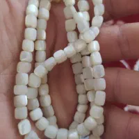 تسبیح صدف دریایی اصل اصل