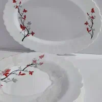 سرویس چینی و آرکوپال و آرکوفام مناسب جهیزیه|ظروف سرو و پذیرایی|بیرجند, |دیوار