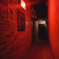 اکتور (مجموعه بلک لایت)