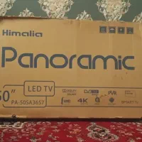 تلویزیون