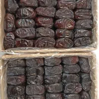 خرما|خوردنی و آشامیدنی|قم, کیوانفر|دیوار