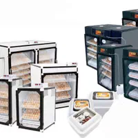 نمایندگی تمام دستگاه های جوجه کشی اسکندری