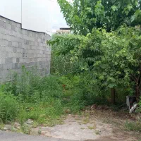 فروش زمین ۶۰ متری در جماران|فروش زمین و ملک کلنگی|رشت, جماران|دیوار