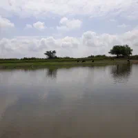 قـایق ســواری با قایــق Vip|تور و چارتر|بندر انزلی, مصلی|دیوار