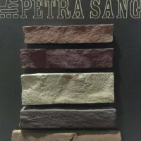 قالب سیلیکونی آمریکایی