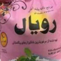 برنج دانه متوسط|خوردنی و آشامیدنی|رشت, فلسطین|دیوار