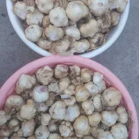سیر همدان