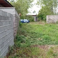 فروش ۲۹۱ متر زمین مسکونی در روستای منگوده. گلسار|فروش زمین و ملک کلنگی|پیربازار, |دیوار