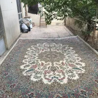 قالی سلیمان