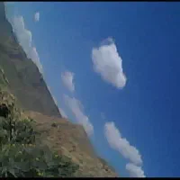 کوئیک 401بی رنگ