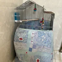 قفس پرنده بزرگ