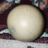 سنگ آسیاب