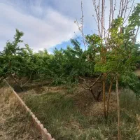 زمین  باقدمت بنا ۵۰۰م/مجوز دار/ تهراندشت/ سرخاب|فروش زمین و ملک کلنگی|هشتگرد, تهران دشت|دیوار