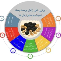 ذغال حبه ای پوست پسته (ذغال نارگیل)|عمده‌فروشی|آباده, |دیوار