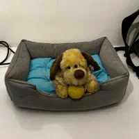 لوازم پت و گربه