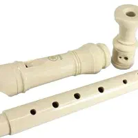 فلوت آموزشی یاماها|سازهای بادی|نیشابور, میدون بار|دیوار