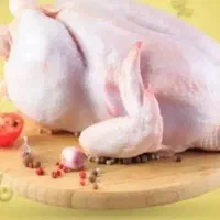مرغ پرکن وماهی زنده باقیمت مناسب