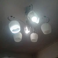 دوعددلوستردرحد