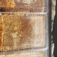 عسل طبیعی کوهستان|خوردنی و آشامیدنی|نمشیر, |دیوار