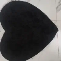 پادری خز دار|پادری|پیشوا, |دیوار