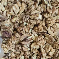 گردو تویسرکان