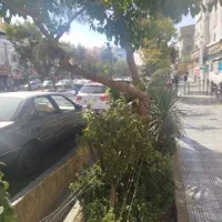 بی‌نظیرترین لوکیشن تهرانپارس ۶۰ م بر اصلی تیرانداز