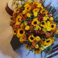 گل تازه ۱متری