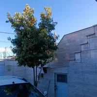 فروش آپارتمان سندتک برگ دوخواب شهرک مطهری