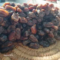 خرما کبکاب و خرمای زاهدی|خوردنی و آشامیدنی|شیراز, قصرالدشت|دیوار