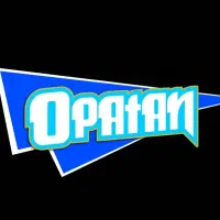 استخدام نیروی انبار