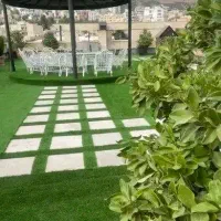 فروش و نصب چمن مصنوعی با بهترین قیمت|گل مصنوعی|تهران, اسکندری|دیوار