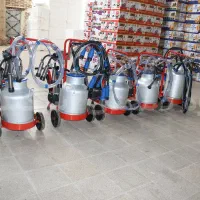 شیردوش دامی - شیردوش دستی