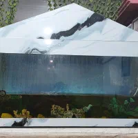 آکواریوم آب شیرین