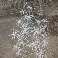 (تولیدی)نرده حفاظ دیواربوته ای و شاخ گوزنی نیزه ای|مصالح و تجهیزات ساختمان|مشهد, شهید بصیر|دیوار