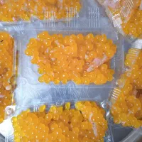 تخم ماهی گلو