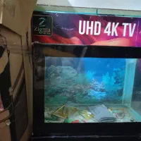 آکواریوم سالم