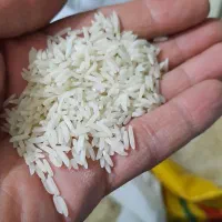 برنج فجر گرگان عرضه مستقیم|خوردنی و آشامیدنی|بیرجند, |دیوار