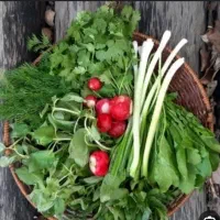 همکارخانم  جهت کار درمغازه سبزیجات آماده