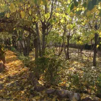 ویلا باغ کردان کوهسار|فروش خانه و ویلا|کوهسار (البرز), |دیوار