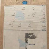 سند دار کردن املاک قولنامه ای - نقشه برداری