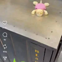 فروش ویترین مغازه لباس|فروشگاه و مغازه|اردبیل, |دیوار