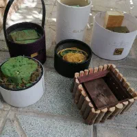 تعدادی گلدان تزیینی و گلدان برای گل طبیعی